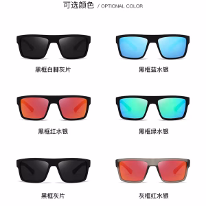 Polarized Men's Sunglasses